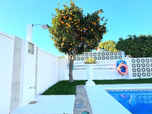 Villa CasaCara Marbella beachside Costabella -Spain photo 93