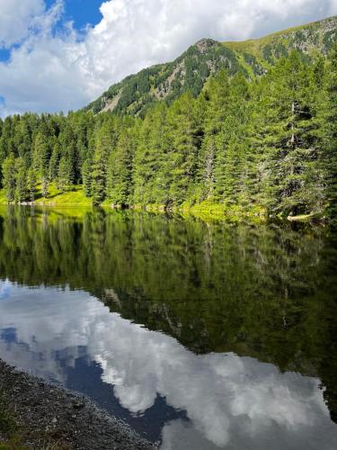 a reflection of a mountain in a lake with trees at Apartment RELAX Bad Kleinkirchheim in Wiedweg