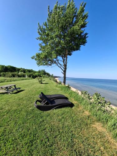 Galeriebild der Unterkunft Vilnīši in Ulmale