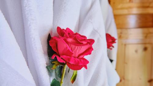 Fotografie z fotogalerie ubytování Escale Cocooning v destinaci Bruyères