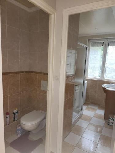 une salle de bain avec toilettes, douche et lavabo dans l'établissement Résidence Centrale Appartement 3 pièces Garage et jardin, à Amélie-les-Bains-Palalda
