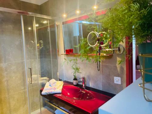 Rose House - Lugano photo 3
