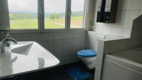 a bathroom with a sink and a toilet and windows at Winner Star RVSVN Ferien Wohnung in Safenwil