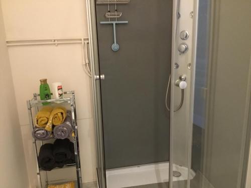 a shower with a glass door in a bathroom at 10 Porte Cadre in Rochefort-en-Terre