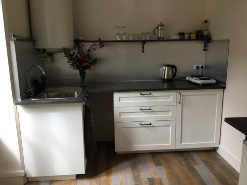 une cuisine avec un évier et un plan de travail dans l'établissement 10 Porte Cadre, à Rochefort-en-Terre