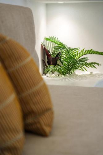 a plant sitting on a table next to a couch at Villa Karterados Suites in Karterados