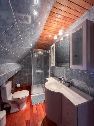 une salle de bain avec toilettes, lavabo et douche dans l'établissement Chambres à louer à la Villa l idéale, à Laubanie