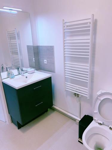 une salle de bain avec toilettes, lavabo et miroir dans l'établissement Vu Seine Appartement Duplex, à Ivry-sur-Seine