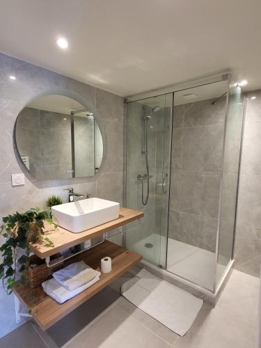 une salle de bain avec un lavabo et une douche avec un miroir dans l'établissement Rochetaillé Petit Havre de paix, à Saint-Étienne