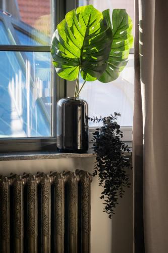 a plant in a vase sitting on a window sill at Turgaus Self Check-in Old Town Aparthotel in Klaipėda