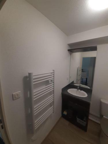 une salle de bain avec un lavabo et un miroir dans l'établissement Agréable Studio tout équipé à Mulhouse, à Mulhouse