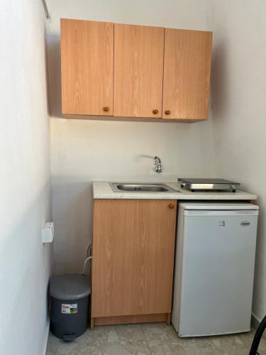 a small kitchen with a sink and a dishwasher at Kastrati Apartments in Ulcinj