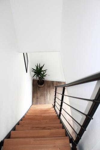 a staircase in a house with a potted plant at L'Équinoxe - Parking privé - Zapart'Hôtels in Malesherbes