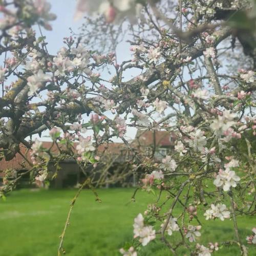 Photo de la galerie de l'établissement Gite de groupe, proche de la baie de Somme, à Liercourt