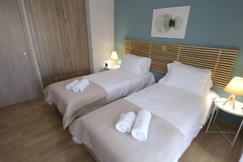 Penthouse lux flat with 2 bd next to larissis