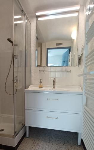 une salle de bain blanche avec un lavabo et une douche dans l'établissement La cigale, à Gourdon