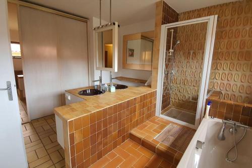 une salle de bain avec une douche, un lavabo et un miroir dans l'établissement Villa avec piscine chauffée proche Toulouse centre, à LʼUnion