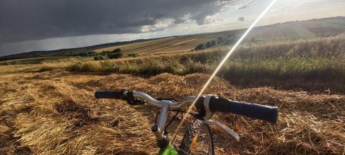 Fotografie z fotogalerie ubytování Dom na wsi z dużym ogrodem v destinaci Tapin