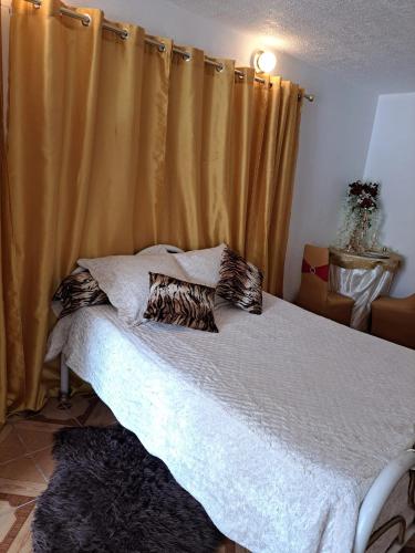 a bedroom with a large bed with a curtain at Studio de charme à Bouillante, 100 m², vue sur mer et montagnes in Bouillante