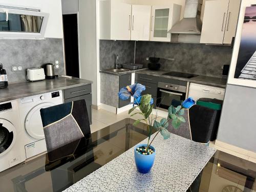 Kuchyň nebo kuchyňský kout v ubytování Duplex Juan les Pins proche plage