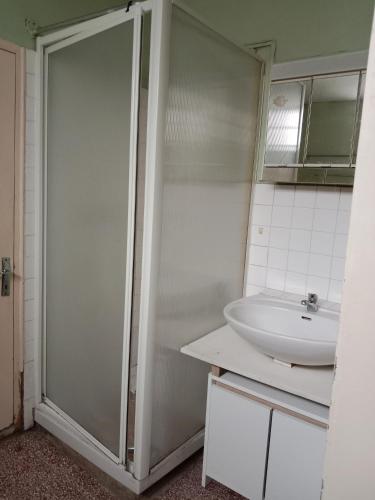 une salle de bain avec douche et lavabo dans l'établissement La petite maison des villages, à Saint-Christophe-en-Bazelle