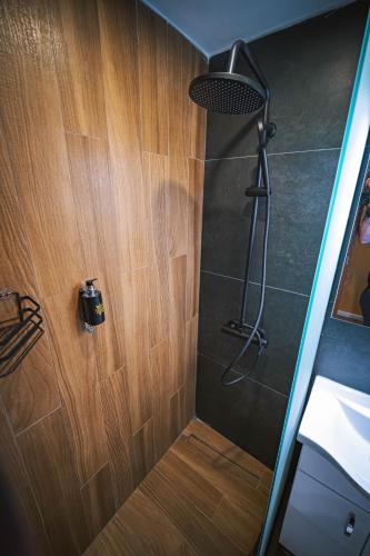 a bathroom with a shower with a wooden door at Vodenica 3 Rooms in Duračka Reka