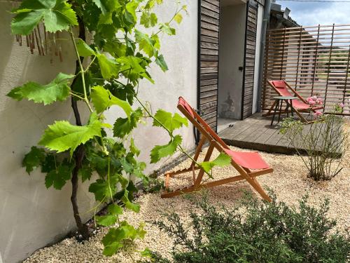 Κήπος έξω από το Hózhó Tempo - Sous les pins, Bed & Breakfast écofriendly & slowlife avec sauna