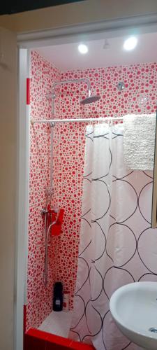 a bathroom with a shower with red and white tile at Casa curro in Baena