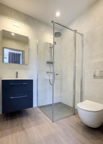 a bathroom with a glass shower and a toilet at Vila Vida in Palanga