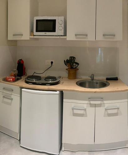 une cuisine avec un évier et un micro-ondes dans l'établissement Le nid, à Bourg-lès-Valence