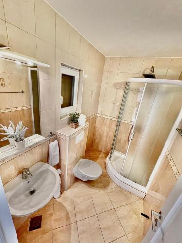 a bathroom with a shower and a sink and a toilet at Studio Katara Brela in Brela