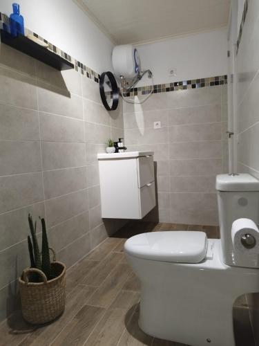 a bathroom with a white toilet and a plant at Roque in Las Playas