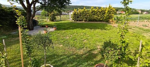 Kempovacie miesto v Starej Záhrade - Camping site