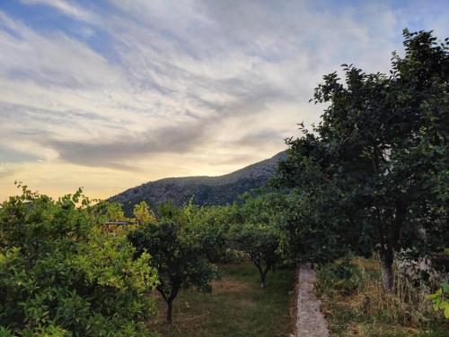Un paisaje natural cerca of the country house