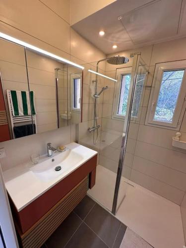 une salle de bain avec un lavabo et une douche dans l'établissement Un appartement lumineux, à Aix-en-Provence
