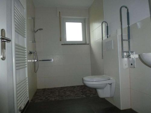 a bathroom with a toilet and a shower and a window at Miss Comfortable Holiday Residence in Bad Berleburg