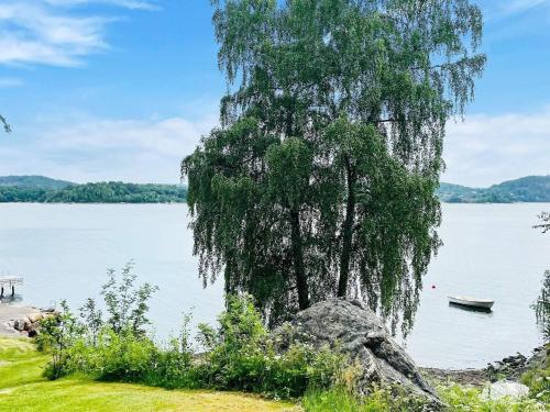 a weeping willow tree on the shore of a lake at 4 person holiday home in STILLINGSÖN in Stillingsön