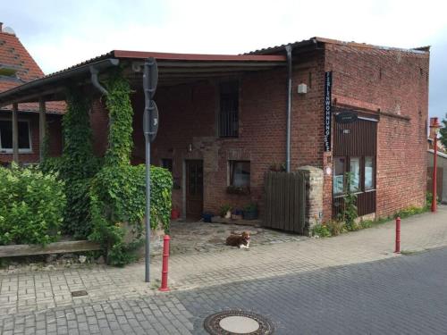 Gallery image of Hildchen Comfortable holiday residence in Priepert