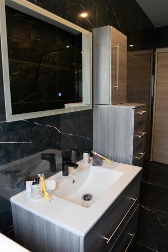 une salle de bain avec un lavabo blanc et un miroir dans l'établissement Residence VELOURS avec terrasse , jardin et parking, à Champigny-sur-Marne