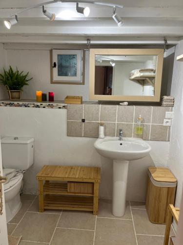 a bathroom with a sink and a toilet and a mirror at Maison du bonheur in Mouans-Sartoux
