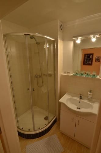 a bathroom with a shower and a sink at Pension Karlova in Prague