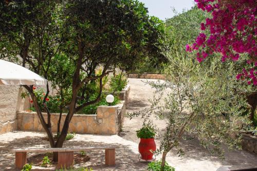 Gallery image of Villa Sissy Studios & Apartments in Sivota