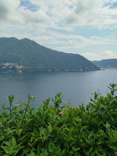 a view of a large body of water with mountains at Little Garden House in Cernobbio