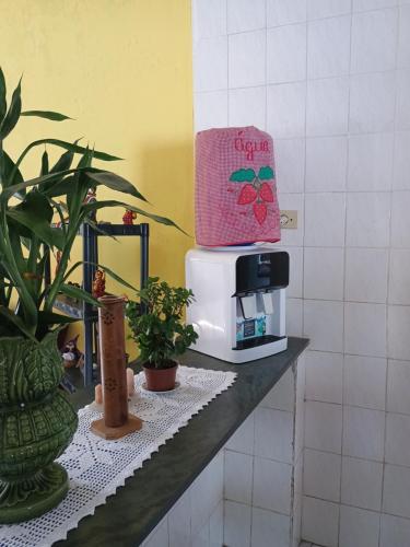 a counter with a coffee maker and plants on it at Renovo Beija-flor Hostel e Espaço Terapêutico in Bertioga