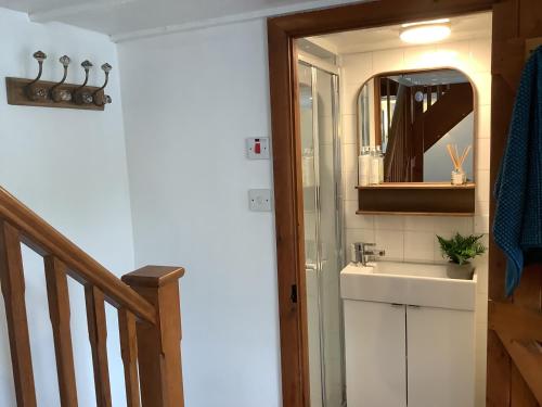 リングウッドにあるSelfcatering Coach House New Forest Dog Friendlyの洗面台と鏡のあるバスルーム