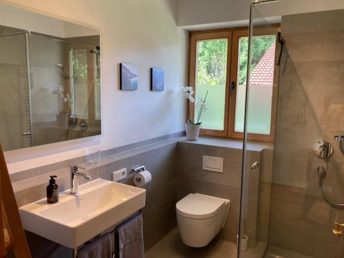 une salle de bain avec un lavabo, des toilettes et une douche dans l'établissement Bett & Berge - Ferienapartment in den Schlierseer Bergen, à Schliersee