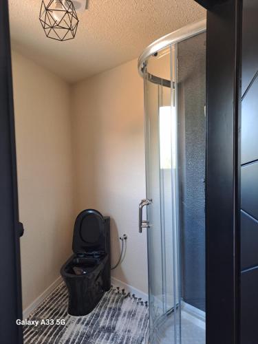 a bathroom with a toilet and a glass shower stall at Borderline Accomodation in Berzasca