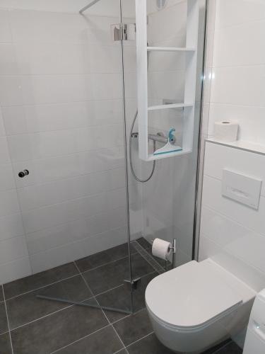 a bathroom with a toilet and a glass shower at SeenSucht in Strobl