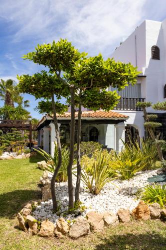 a small tree in front of a house at Hotel Boutique Ses Pitreras in San Antonio Bay