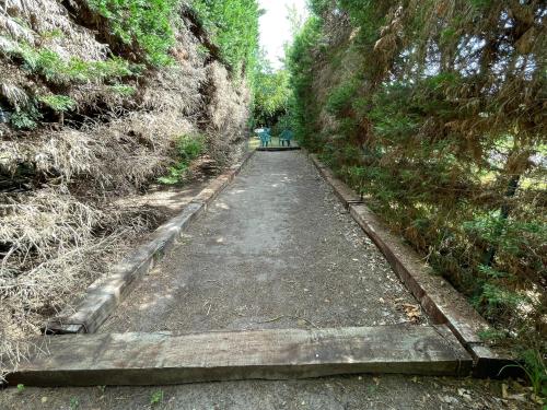 Φωτογραφία από το άλμπουμ του Le Clos des Trois Provinces, Zoo de Beauval σε Noyers-sur-Cher